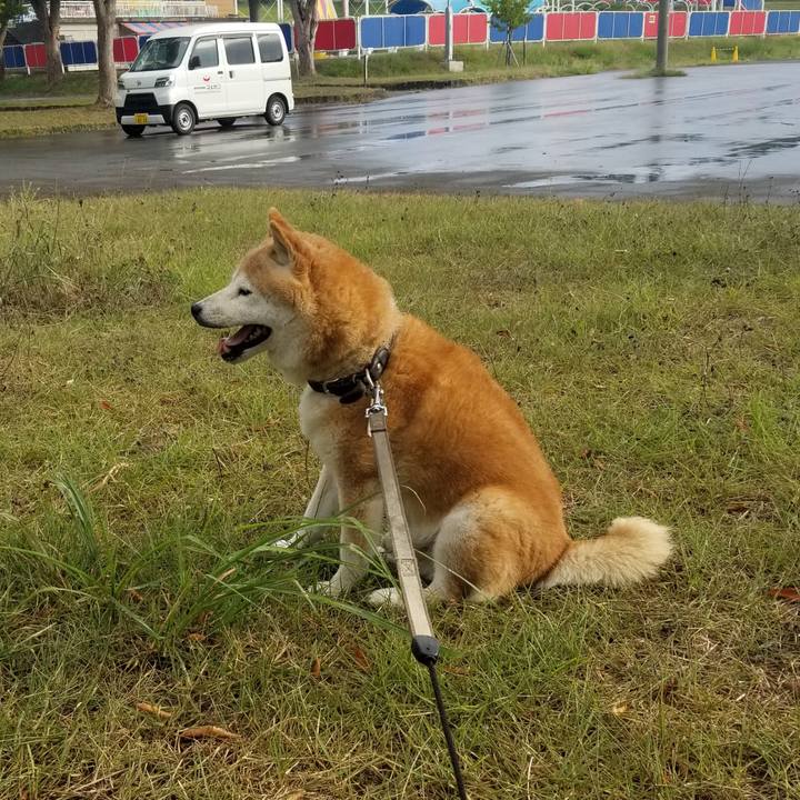 5cde9800 3e26 4258 b25f c2550e251660 1695106873784