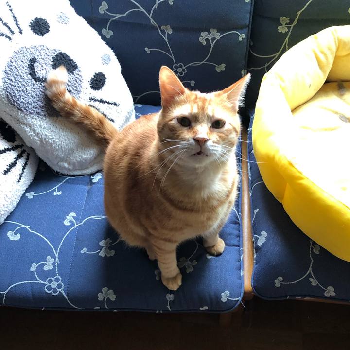 5cdea0b2 fc32 45d4 9778 15fac8562ad0 1563835570113