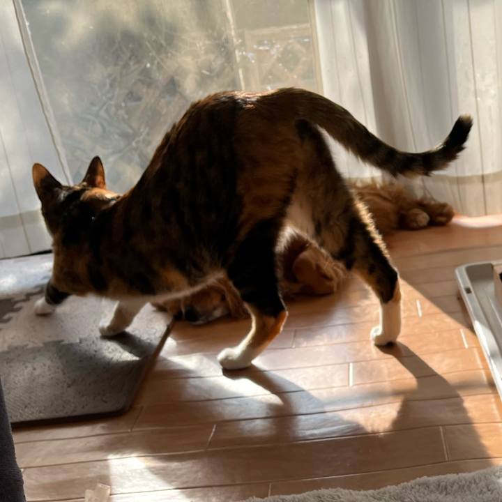 5cdec95c 853b 48b5 b5a8 a993a47b09f8 1707610618524