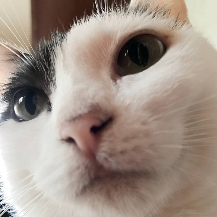 5cdef28a 08b0 4e5a 8399 a4a55ee437e0 1536026999566