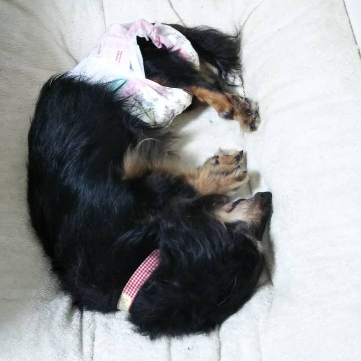 5cdf313a 045a 4982 b725 059996a6f974 1629066380555