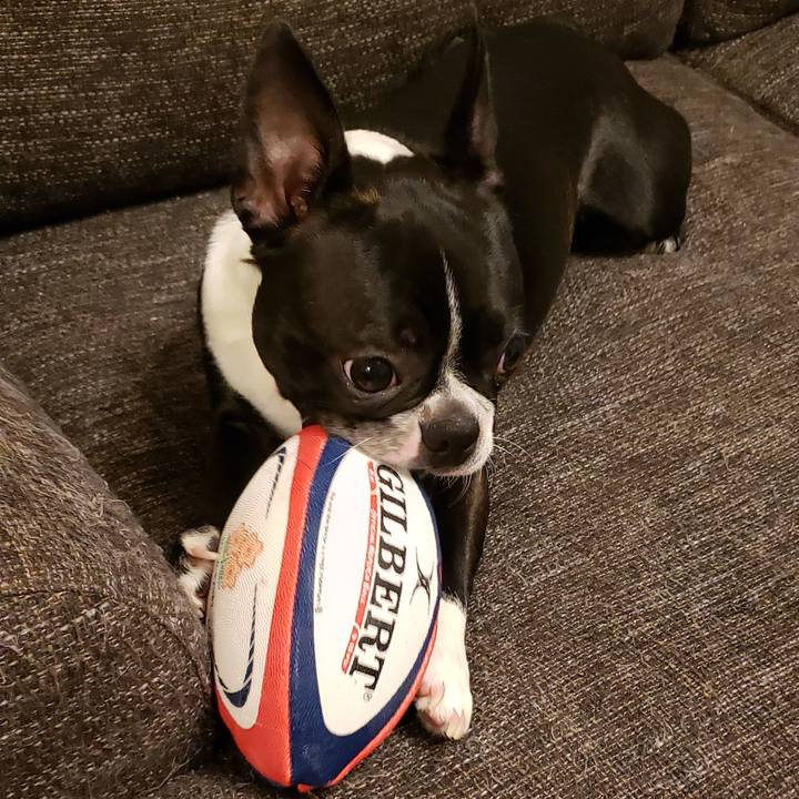 5cdf389e 0356 445e ac4e 63de8e452bf6 1569493594737