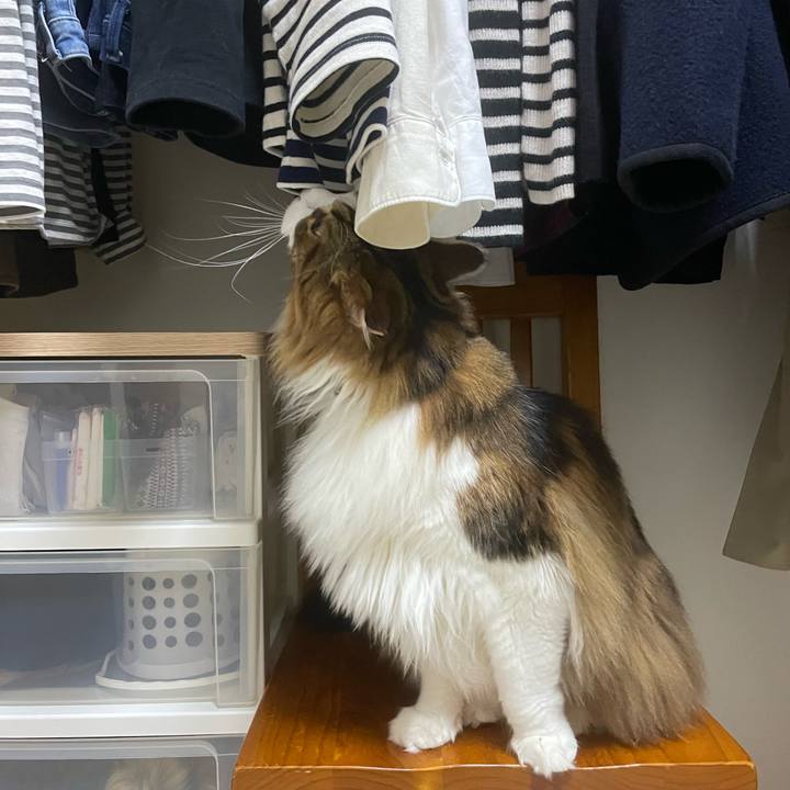 5cdf5478 944b 434b b5ed 6ad50cf90bd4 1744145868090