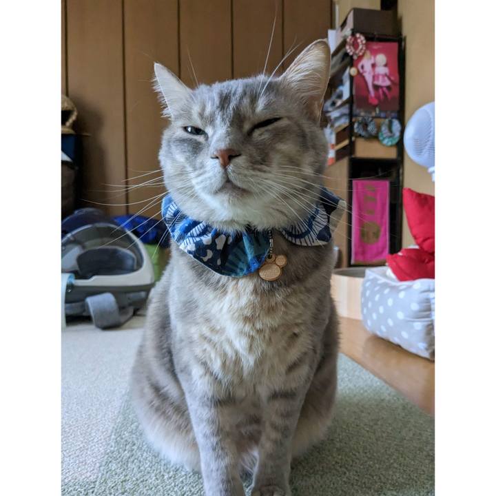 5cdf56c0 66fc 4b9c a4e4 b2649029c8bc 1680234885343