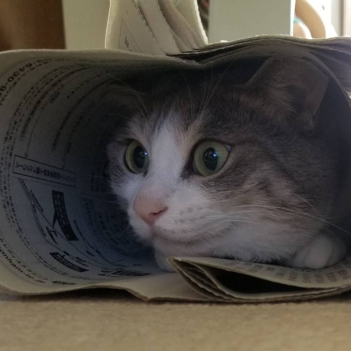 5cdf6aa5 cd4a 47ce a678 e1c85e7c9952 1526010328819