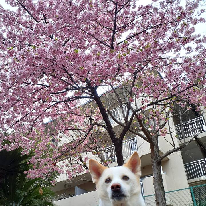 5cdf7c88 d3f6 4595 9cd4 30bfc2fea085 1647301397814