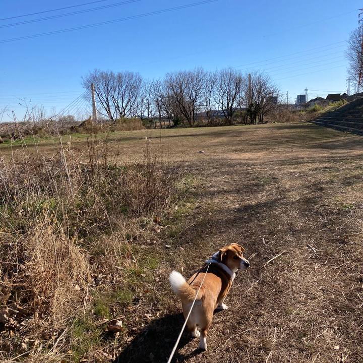 5cdfa04a e786 4ed8 b8b2 28b44f9c6c20 1640569594436