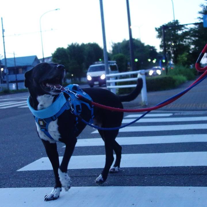 5cdfa7eb ef76 493e b8c6 c9464bceaa53 1627815836992