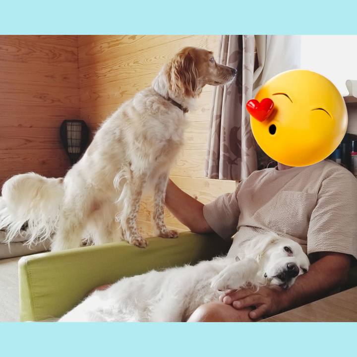 5cdfd188 114e 48e2 b899 b9f69a3f77fe 1696200581347