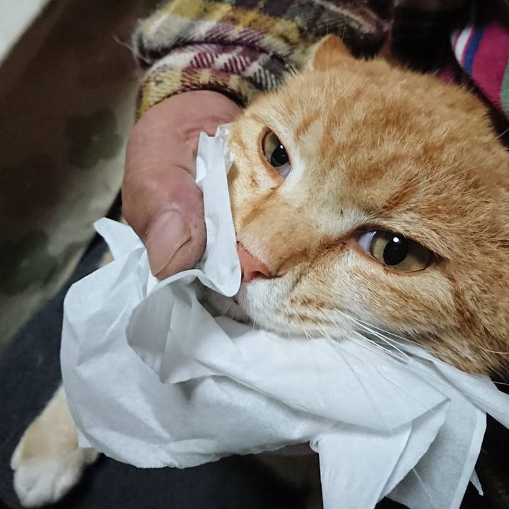 5cdfe19e dfee 460e af63 af54be2411ed 1587198019164