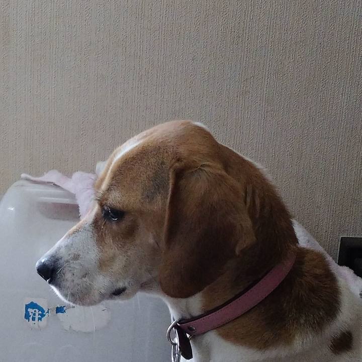 5cdfe2d7 aa23 4684 a7da 65b9d62b8d2a 1576818687410