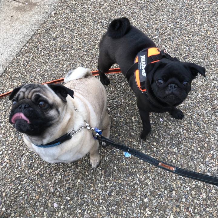 5cdff265 f062 4ce2 82ca 2b9a2cc3318a 1617323485420