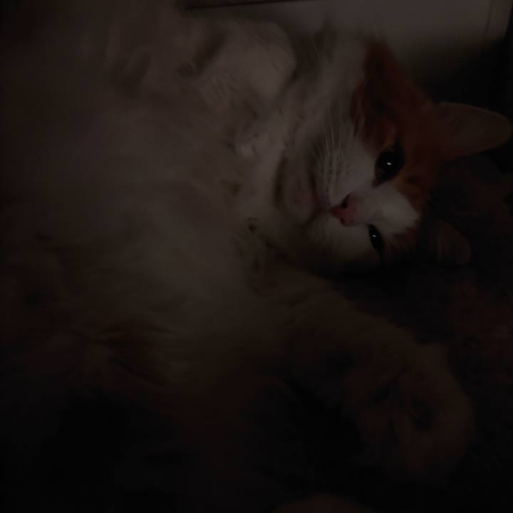 5ce0522a 3c9e 4d07 a771 73801016a8f7 1696437837744