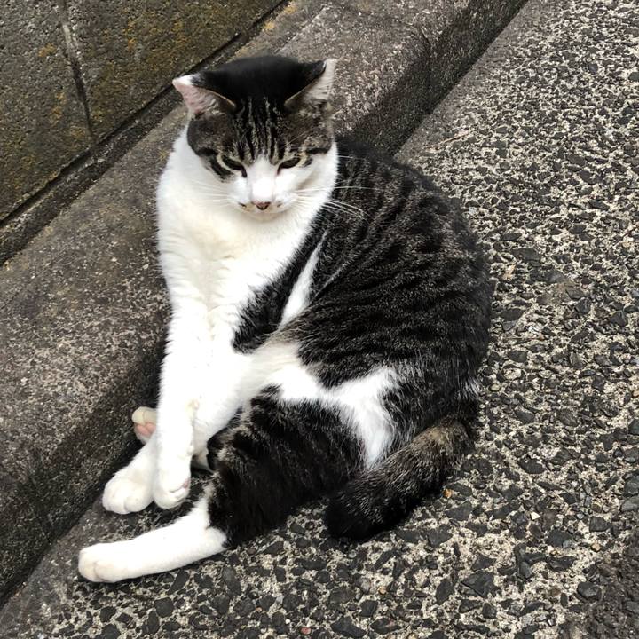 5ce06b81 1341 4a09 b0f8 f10c212f3594 1532699889519