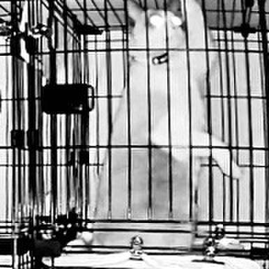 5ce08b1a b95c 4fe3 a129 dcd4c88a1bb7 1734119313338