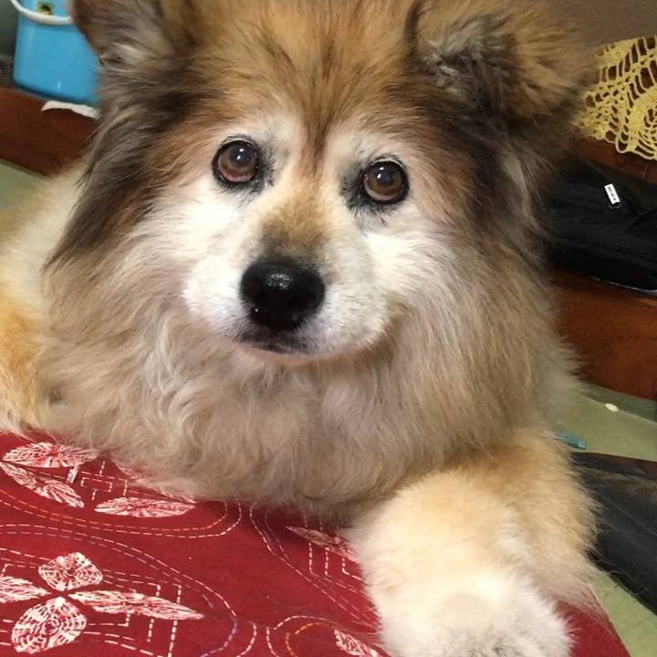 5ce09211 19ec 4031 afff ae104bb78dfd 1650463101430