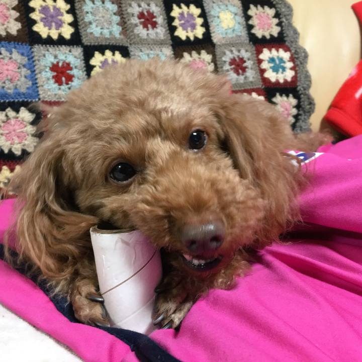 5ce0a08d bb63 4da1 a0df ac10d3371fd9 1520085610425