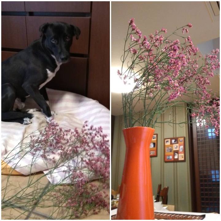 5ce0aabc f6a9 475c 8113 3793af848799 1587560187341