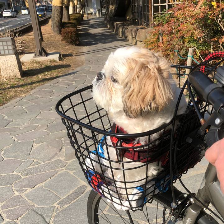 5ce0f639 9137 462b 9688 c724e3fc87b8 1614203108085