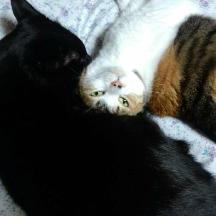 5ce0f70f b9a2 44be ae8f 070c0b81fb1e 1509544360533