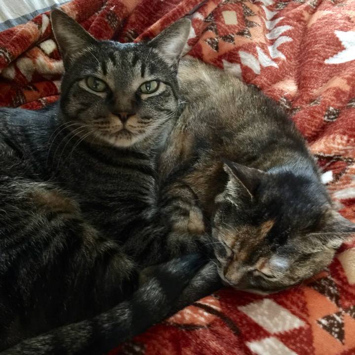 5ce12839 6fdd 47a1 bcec f17d7fc9b44e 1519477754845