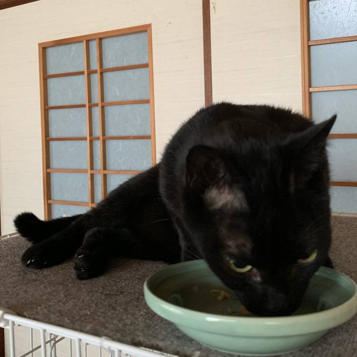 5ce1283d 2586 420e aa66 3c7278be24a0 1593048458850