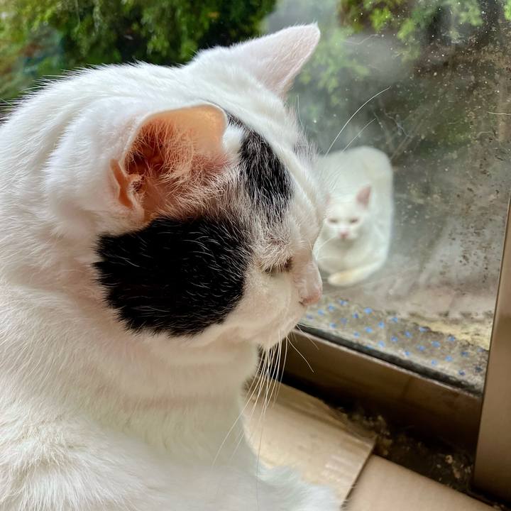 5ce13206 d049 4fe8 a35d 1948d9964d13 1761547977110