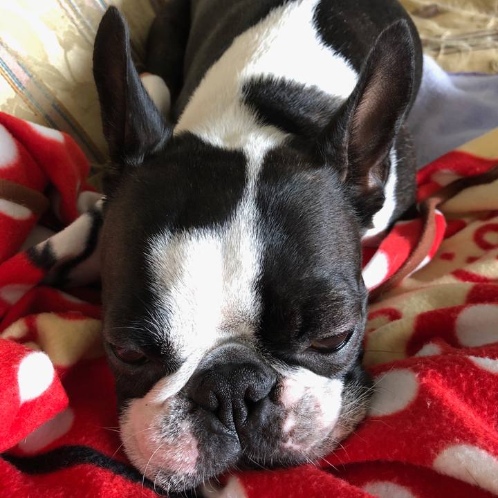 5ce16f98 c903 4f9e 9940 ef260d32de96 1562935061787