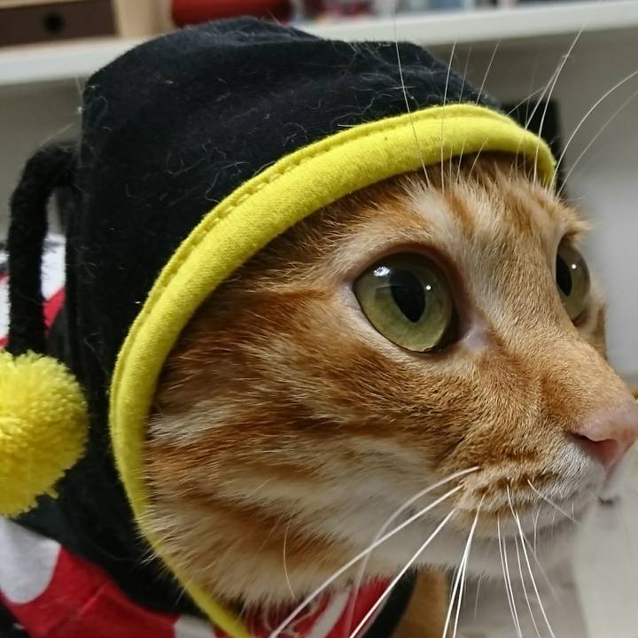 5ce1b30d cadd 45fd 9109 ec83bf6bdd0d 1518302997841