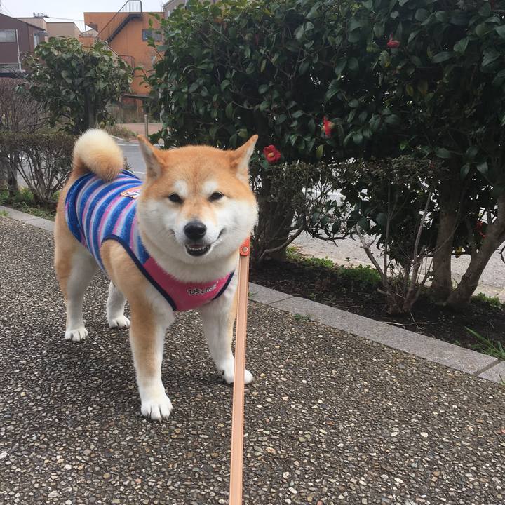 5ce1e93b 7902 4236 9275 078fde98d54f 1552190022155