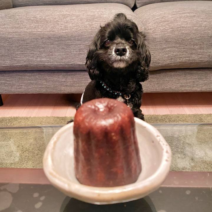 5ce1f4b8 42d5 48d4 85bc e190c37fe8b6 1644327173835