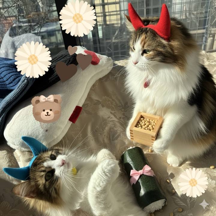 5ce23e49 da09 49ad b438 7d12f390f8d8 1770080850582