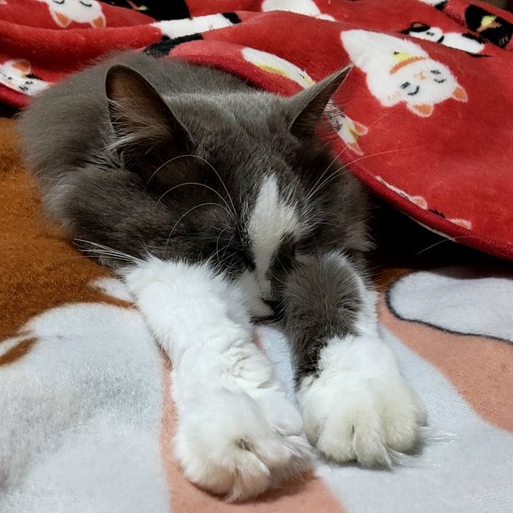 5ce23ee1 841d 4da9 b3d3 123613b89bba 1652529696147