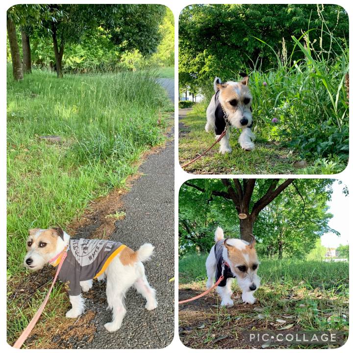 5ce2638f 9609 46f9 8444 aa5f12ff174d 1620292539365