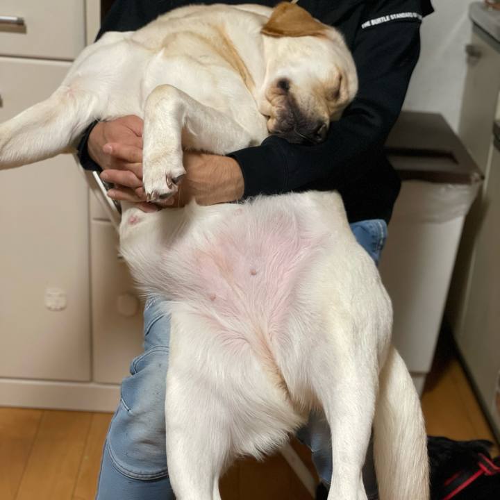 5ce2add4 860a 485f 85a0 930882283bf4 1667038837739