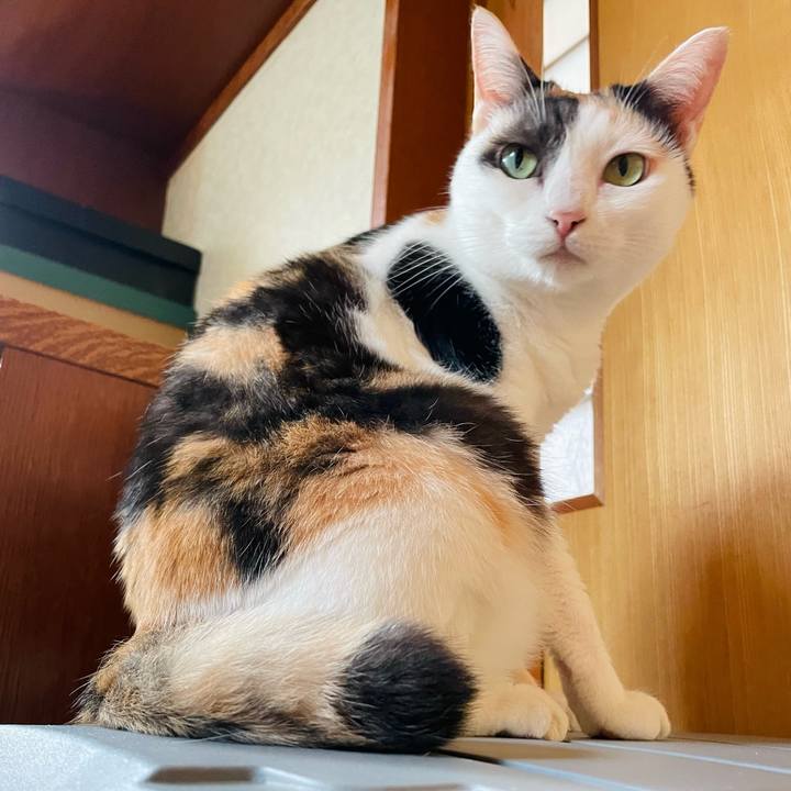 5ce2d24a c962 42b5 b4de aa851228b049 1634088926290