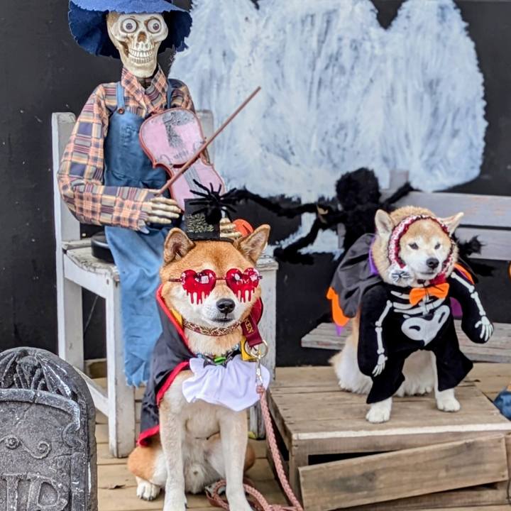 5ce2df90 c9c2 42b4 81bb bcefd7f815d6 1760948027341