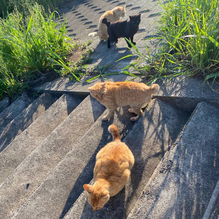 5ce33093 c8bf 4229 99e6 f9376245ddb1 1716369329938