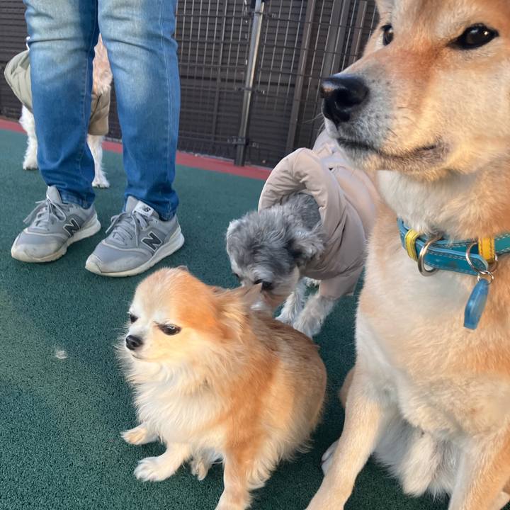 5ce3d9f8 f669 4896 bc8a 99dce61c457f 1770636741906