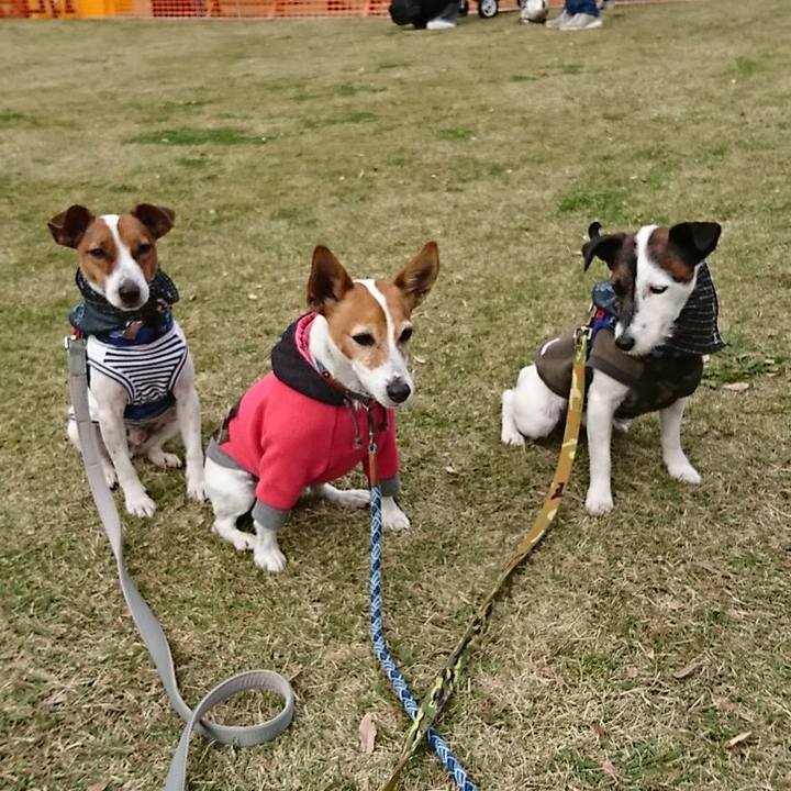 5ce3f294 0025 4771 b3f4 6c949f95961d 1543024205860