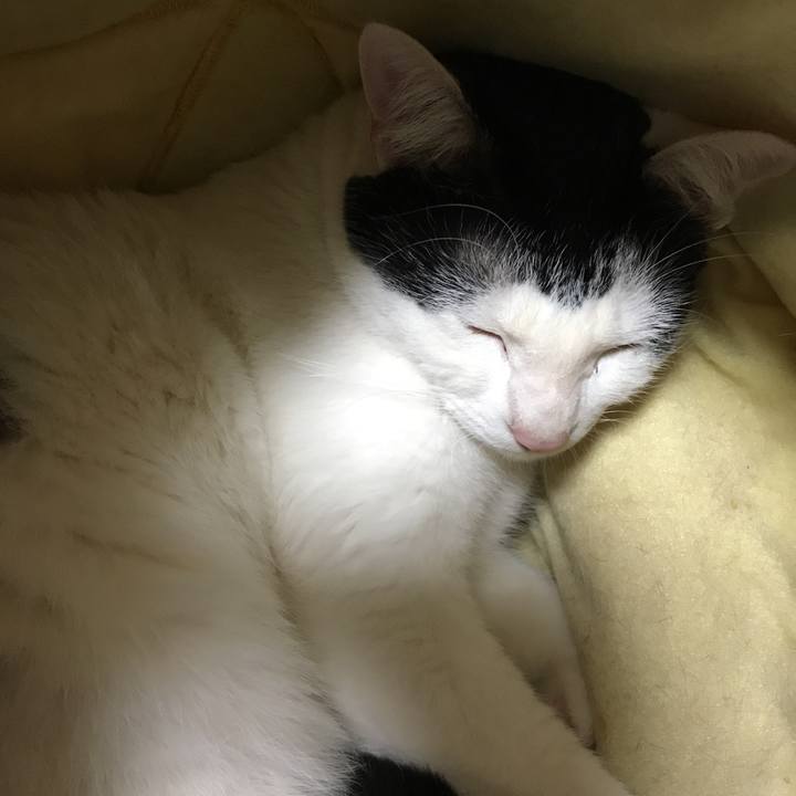 5ce41583 3bc2 41c3 bbfa 2789610f02ea 1522675299185