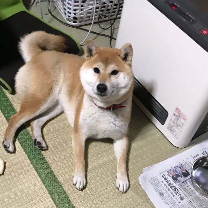 5ce4642b dd18 4556 ae33 38f4acda08e1 1515382236109