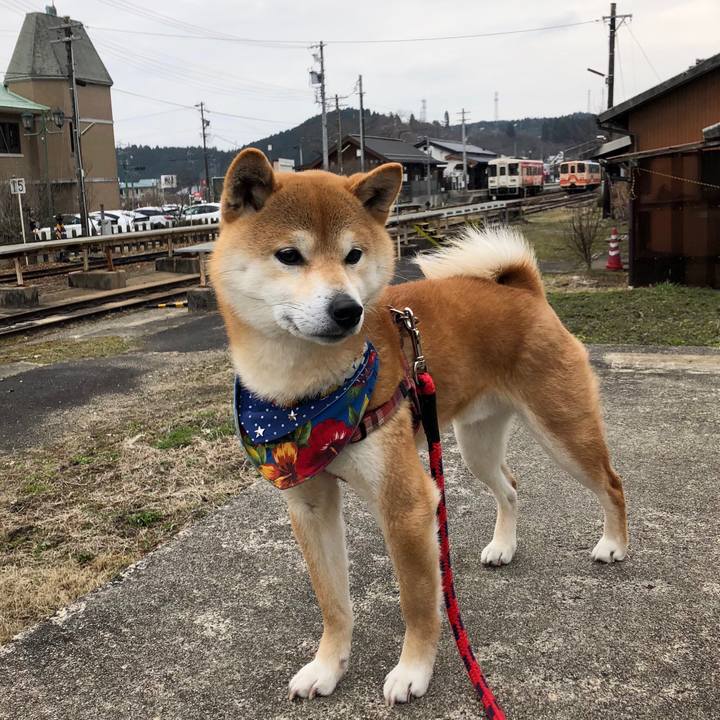 5ce4832e a2d7 421d 8db3 39bbd12e5db2 1520408614660