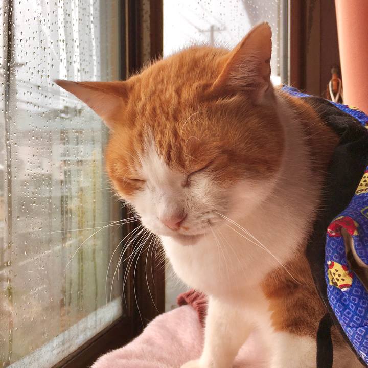 5ce4c788 8a96 4d0d be73 a05b51fb2b4e 1575528445537