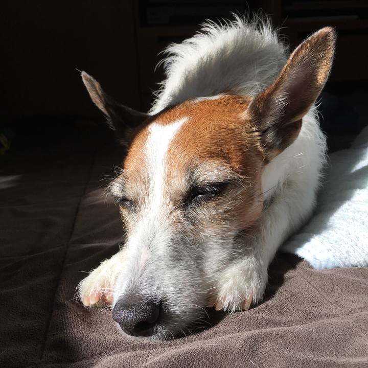 5ce4d845 7992 41bf 877e 96e0e552040d 1573865551296