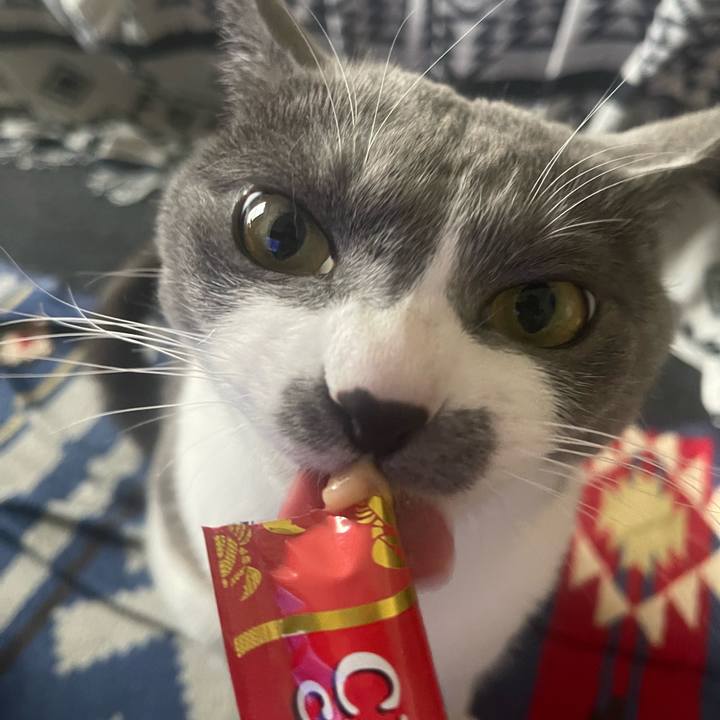 5ce4f5f4 4913 4e5e a7d7 a2439e0126a3 1675666982706