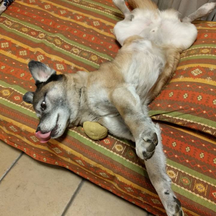 5ce52fa1 ac57 42b6 a74a 6410bde06e97 1552310666520