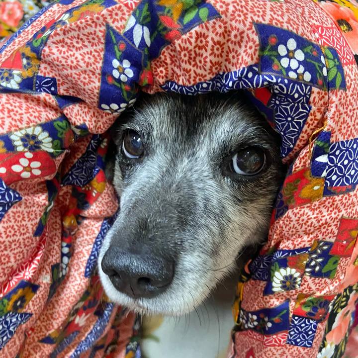 5ce57118 d2f1 481a a218 9c4c07f06bdb 1675692467671