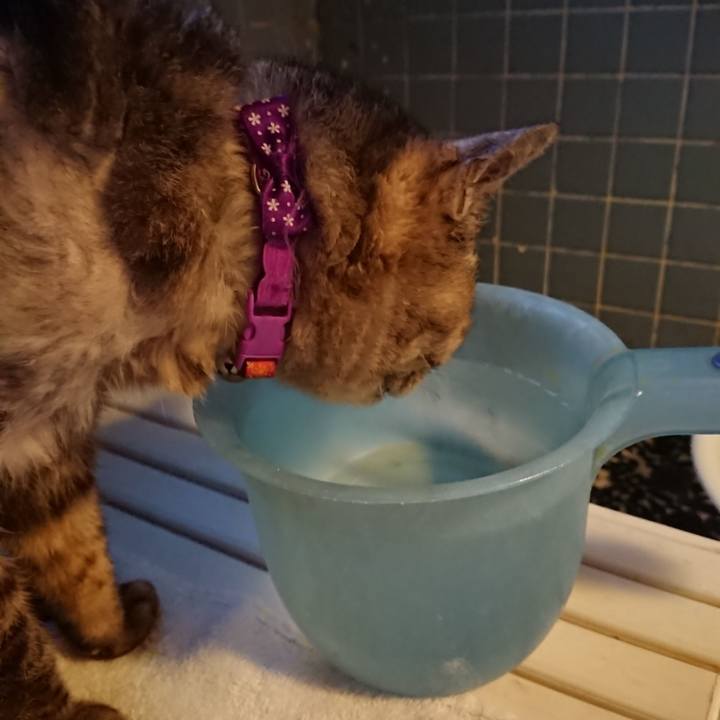 5ce571bd 37a2 4565 85c5 60def2c4b099 1593253062535