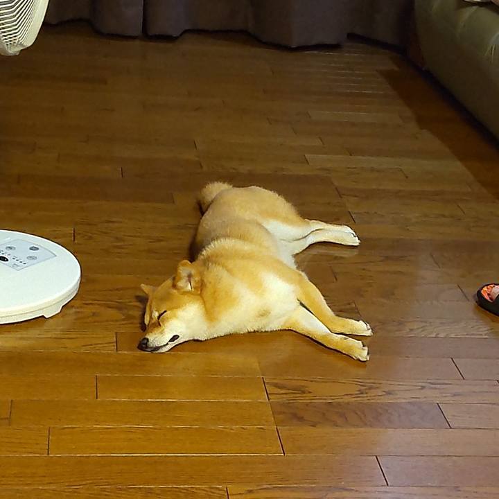 5ce59144 0297 4290 8aeb f3ad75a6c89a 1655811829149